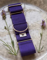 FINNSTOWN PURPLE