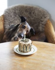 BIRTHDAY CAKE