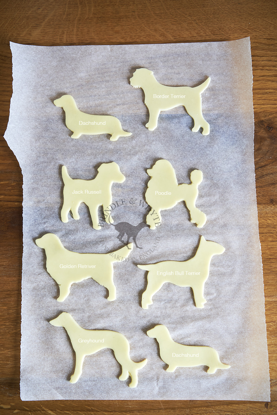 Jack Russell Terrier Custom Cookie Cutter Treat Personalized Pet Name 