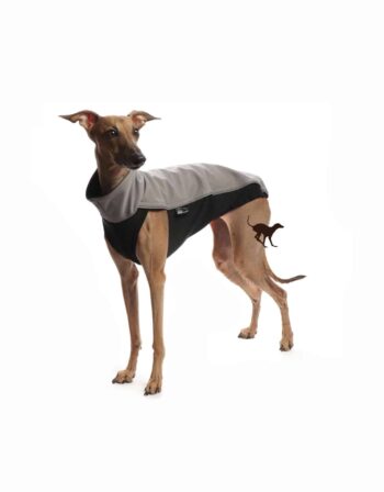 DG Outdoor Soft Shell Top | Grey