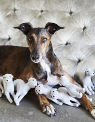ITALIAN GREYHOUND TOY