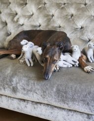 ITALIAN GREYHOUND TOY